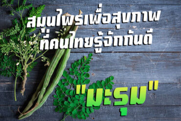 บอระเพ็ด สมุนไพรเพื่อสุขภาพที่คนไทยรู้จักกันดี